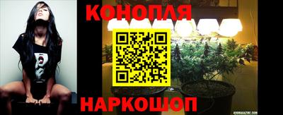 spice Тверь