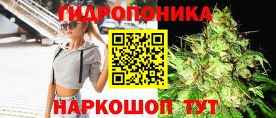 spice Тверь
