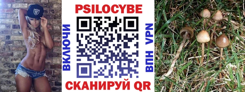 Галлюциногенные грибы Psilocybine cubensis  сайты даркнета формула  Обнинск 
