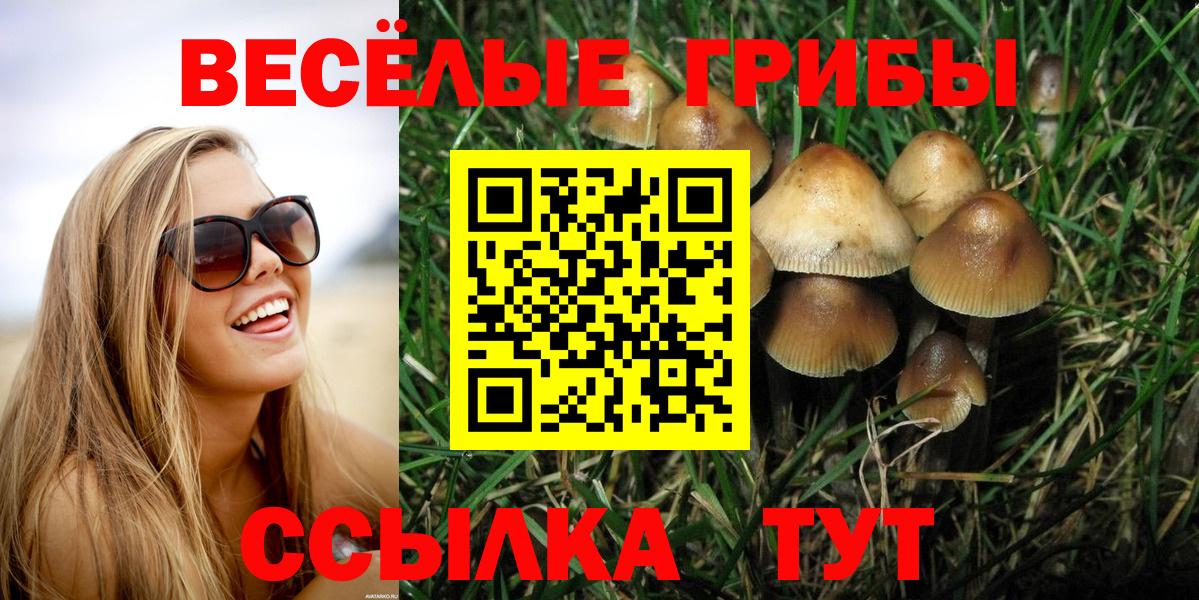 Галлюциногенные грибы GOLDEN TEACHER Обнинск