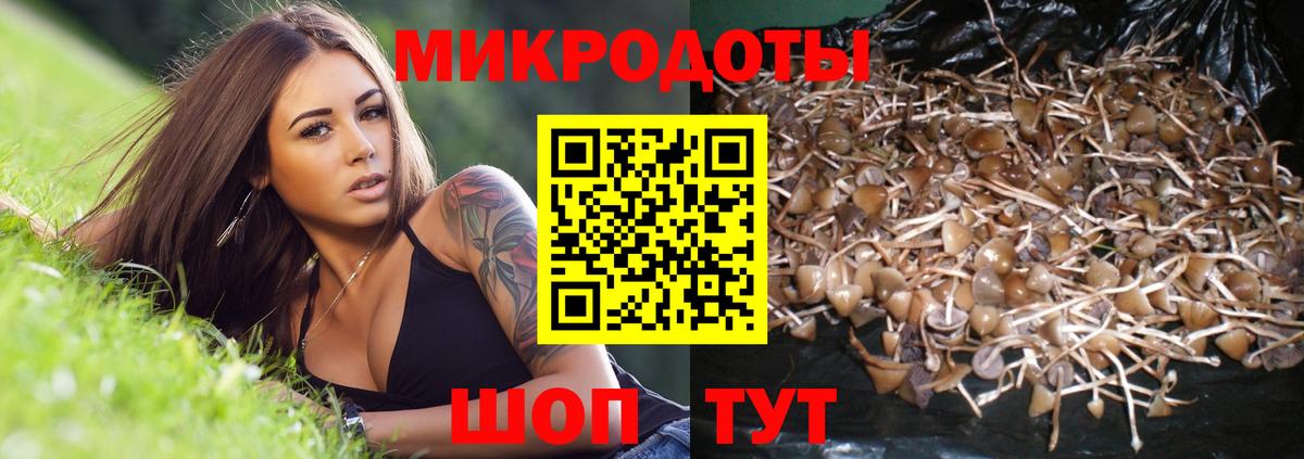 Псилоцибиновые грибы ЛСД  Псилоцибиновые грибы GOLDEN TEACHER  Обнинск  купить наркотик  Вход с VPN 